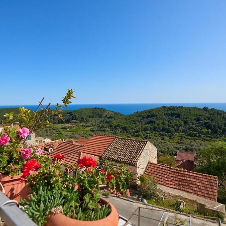 Stiga 4 - New 2 Bedroom Apartment Babino Polje Εξωτερικό φωτογραφία
